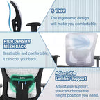 Sedia da ufficio a rete Big & Tall – 180 kg, supporto lombare e funzione massaggio